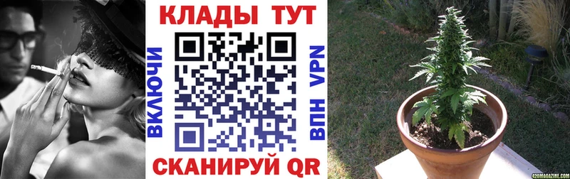 Купить наркотики сайты Николаевск-на-Амуре Cocaine  Меф мяу мяу  Гашиш  Alpha PVP  гидра рабочий сайт  Марихуана 