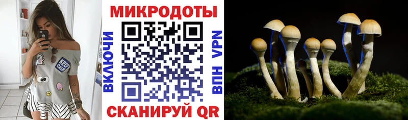 Псилоцибиновые грибы Magic Shrooms Николаевск-на-Амуре